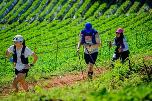 BIB: 
                            <button type="button" onclick="openModal(19163302)" class="btn btn-primary btn-sm float-right btn-popup" data-toggle="modal" data-target=".modal-high-quality">
                        <i class="fas fa-shopping-cart"></i> Add to Cart
                    </button>
                                            <button type="button" onclick="isThisMe(19163302, true)" class="btn btn-success btn-sm float-right btn-popup btn-isme hidden" data-toggle="tooltip" data-placement="bottom" title="นี่คือรูปของคุณใช่ไหม คลิกที่นี่เพื่อเอาเข้าอัลบั้ม">
                        <i class="fas fa-plus"></i> Add to album
                    </button>
                    <button type="button" onclick="isThisMe(19163302, false)" class="btn btn-warning btn-sm float-right btn-popup btn-isnotme hidden">
                        <i class="fas fa-ban"></i> Remove from album
                    </button>